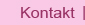 Kontakt
